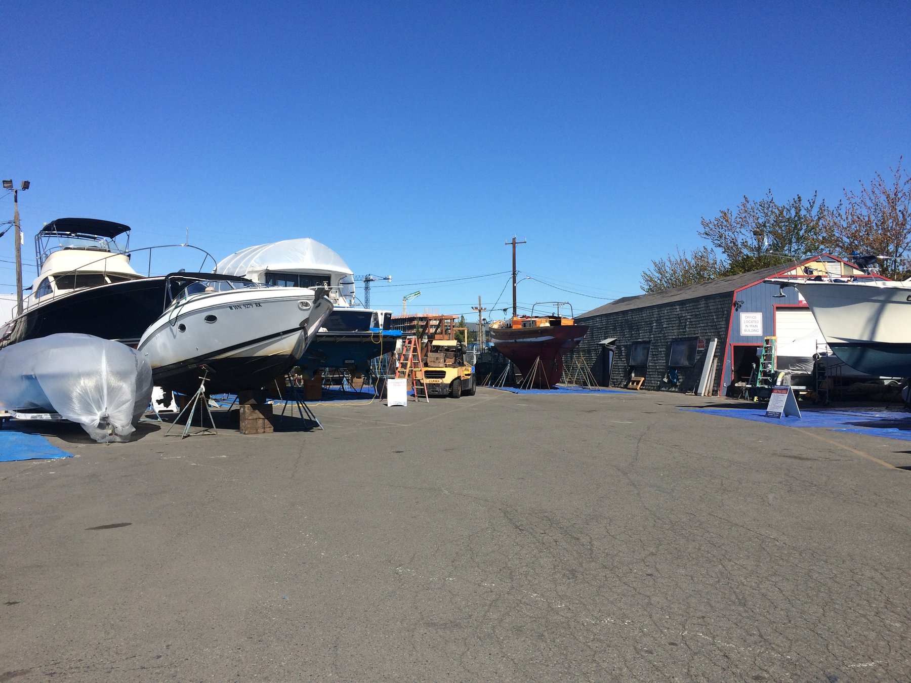 The classic 1946 Philip Rhodes design Merry Maiden rests among working vessels in a Puget Sound boatyard, her white hull wrapped in protective covering as she awaits spring commissioning under clear skies.