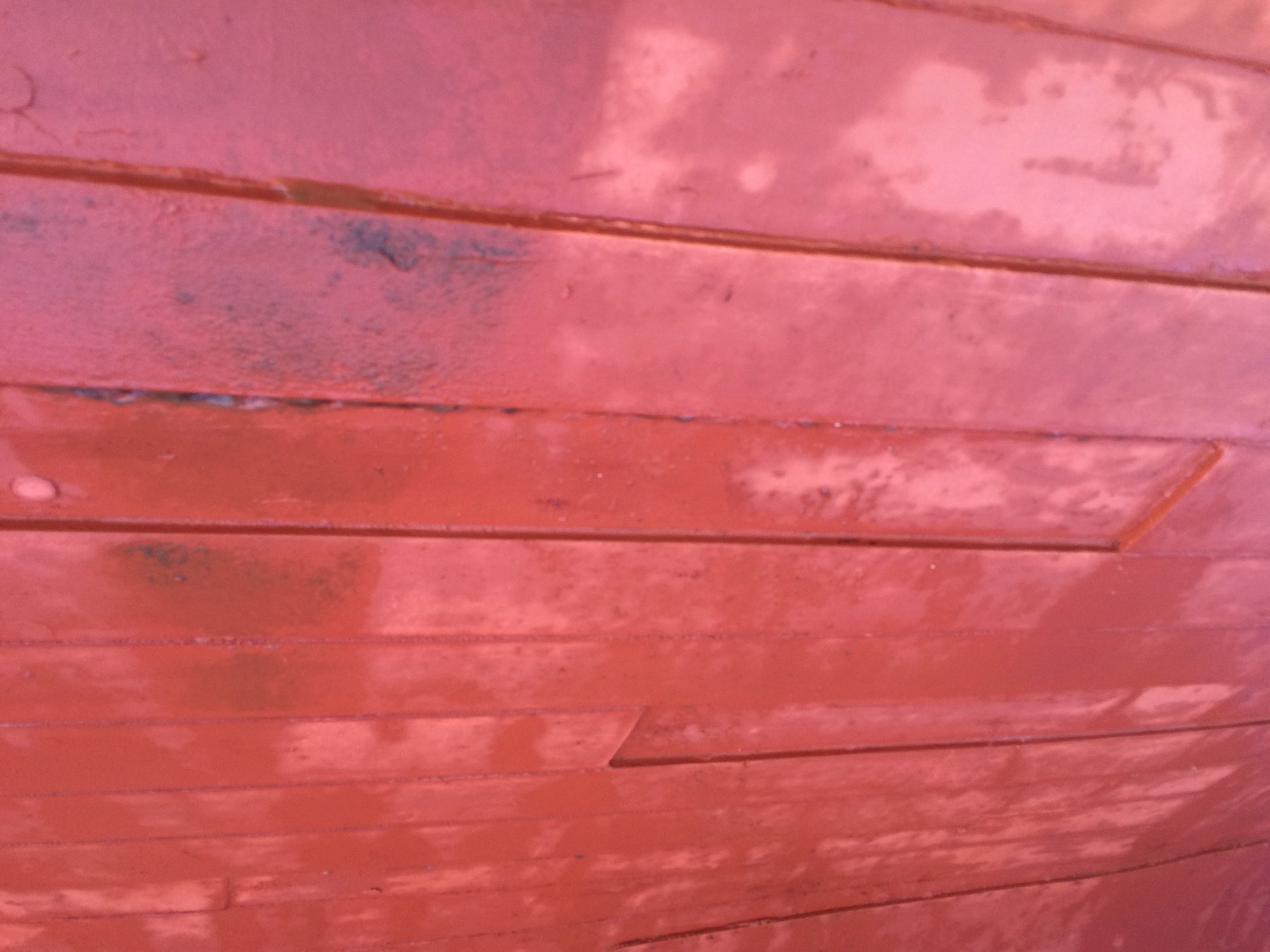 The warm red hull of Merry Maiden glows in spring sunlight, revealing the graceful lines and weathered patina of this classic 1946 Philip Rhodes design on the hard in Puget Sound.