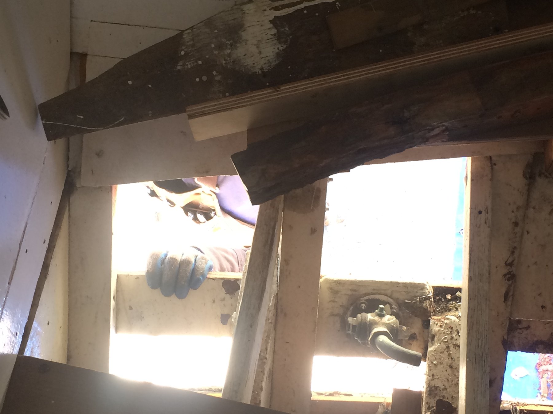 Interior restoration work on the classic 1946 Philip Rhodes yacht Merry Maiden, with wooden structural beams and mechanical components visible through bright openings to the boatyard.