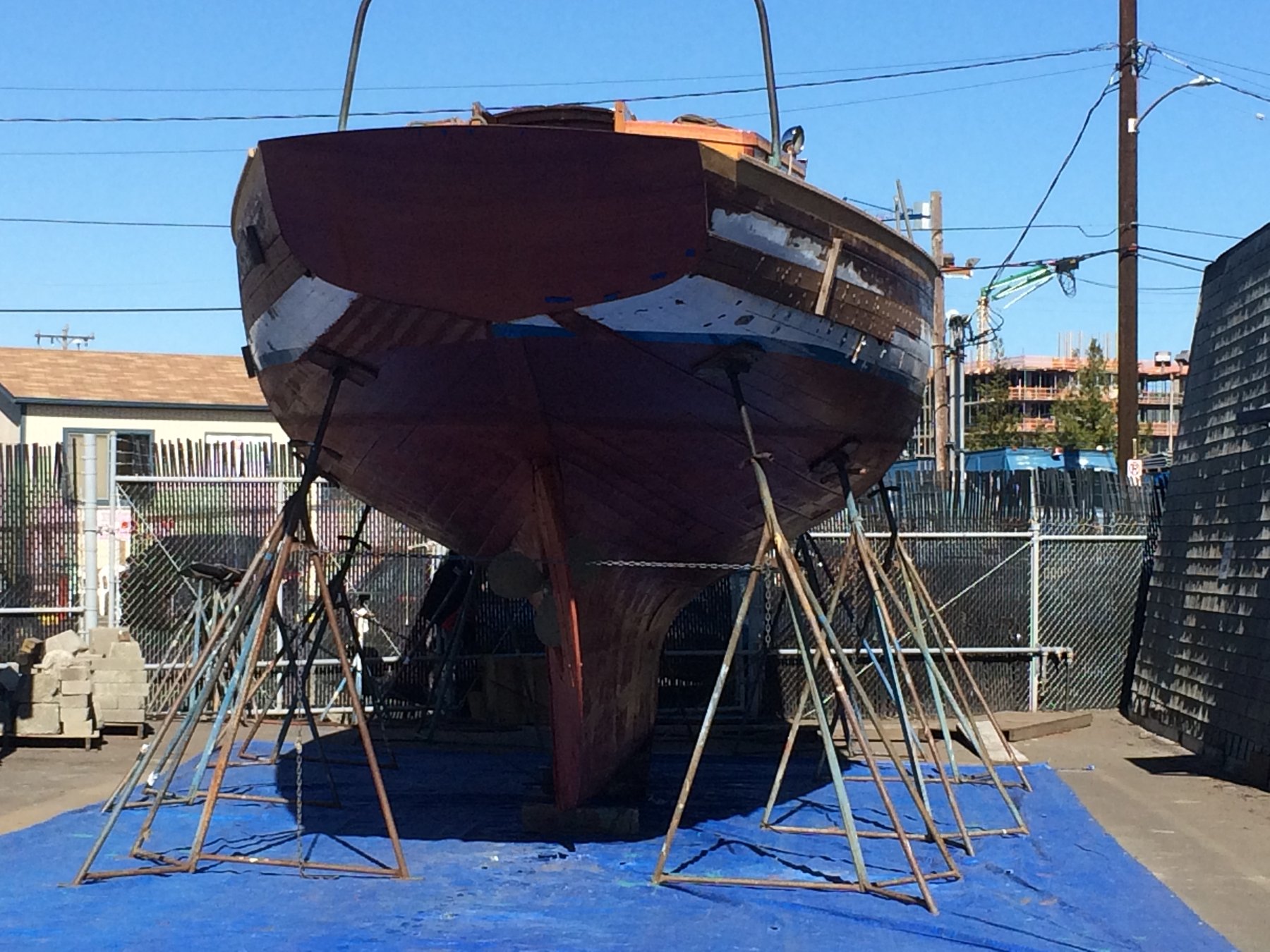 The classic 1946 Philip Rhodes-designed Merry Maiden rests on the hard in a Puget Sound boatyard, her mahogany hull exposed and supported by wooden shoring for restoration work.