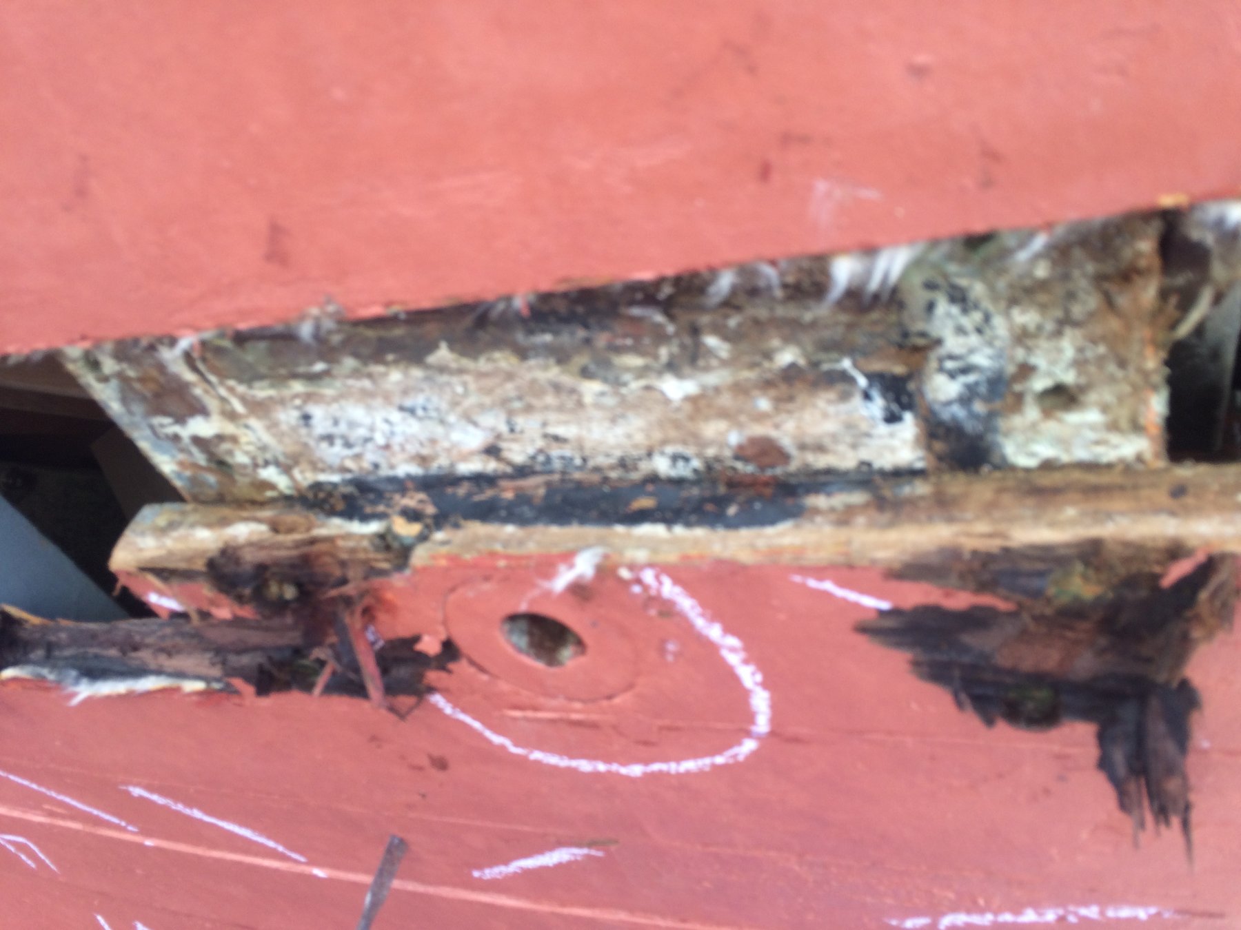 The hull of the classic 1946 Merry Maiden reveals weathered planking and accumulated marine growth, marked for inspection during a haul-out in the Puget Sound.